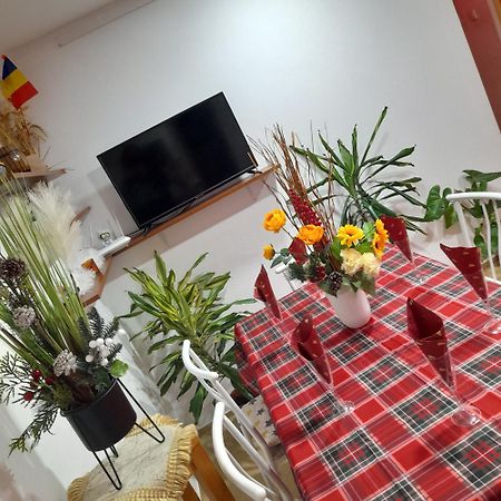 אלבה לוליה Apartment Boulevard Cetate מראה חיצוני תמונה