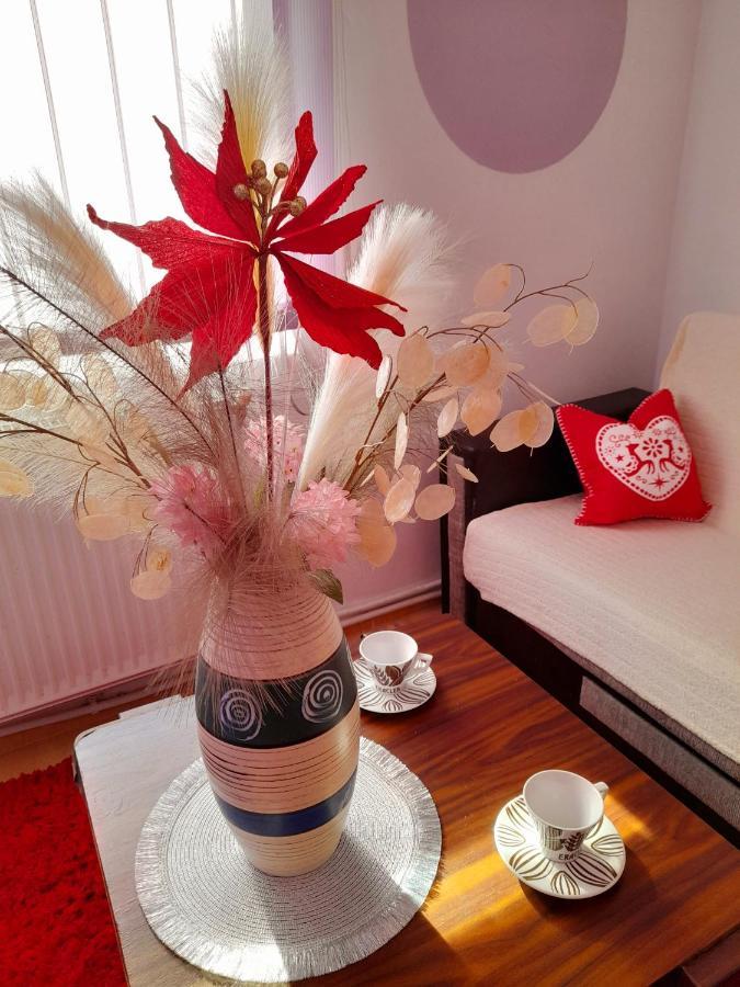אלבה לוליה Apartment Boulevard Cetate מראה חיצוני תמונה