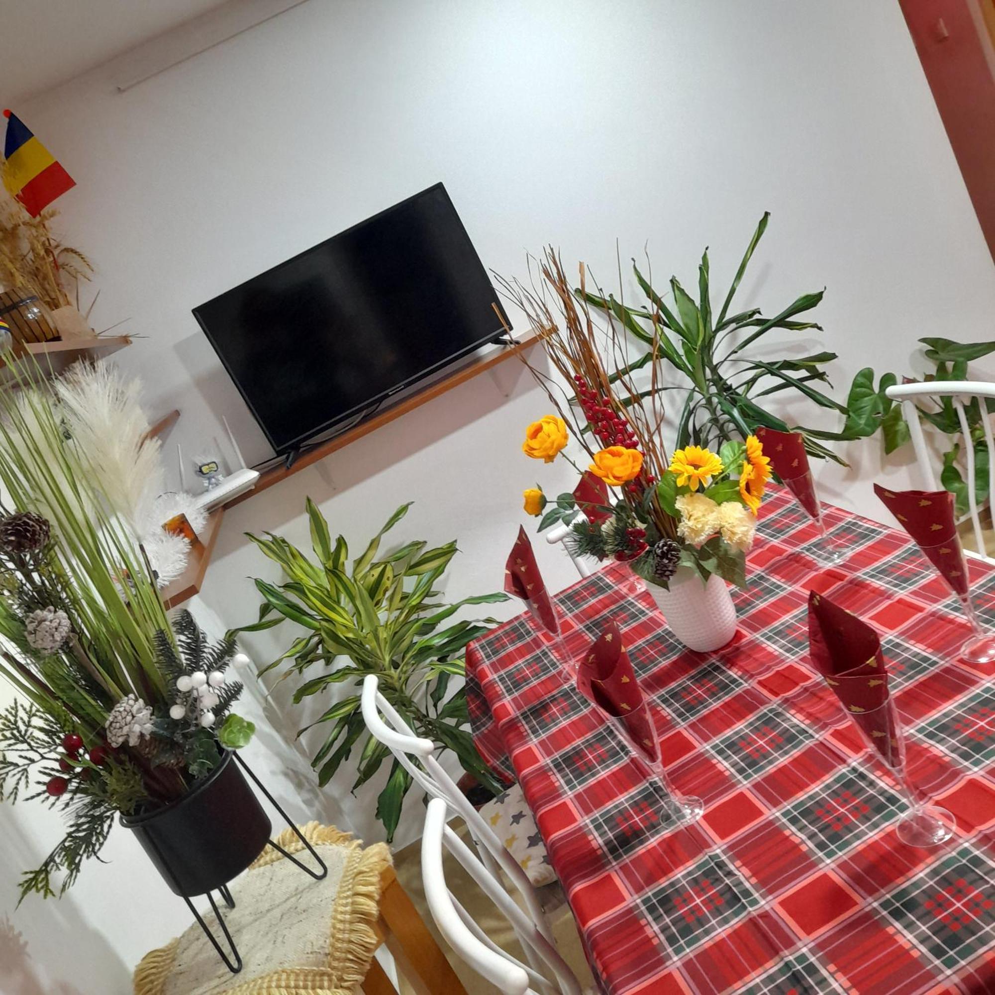 אלבה לוליה Apartment Boulevard Cetate מראה חיצוני תמונה
