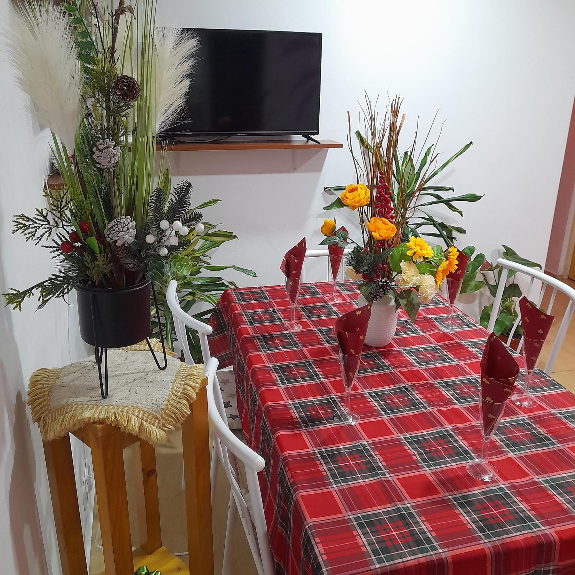 אלבה לוליה Apartment Boulevard Cetate חדר תמונה