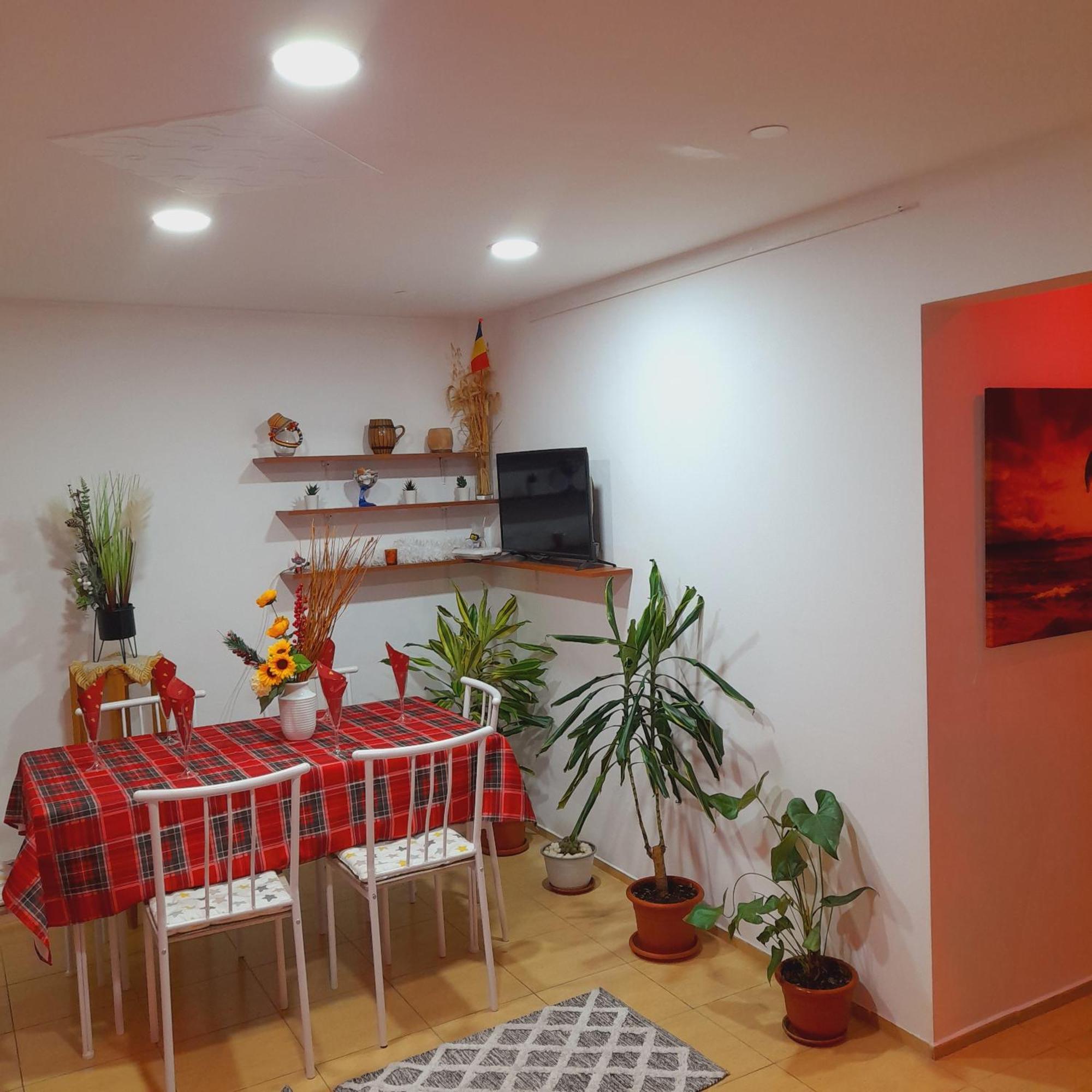 אלבה לוליה Apartment Boulevard Cetate חדר תמונה