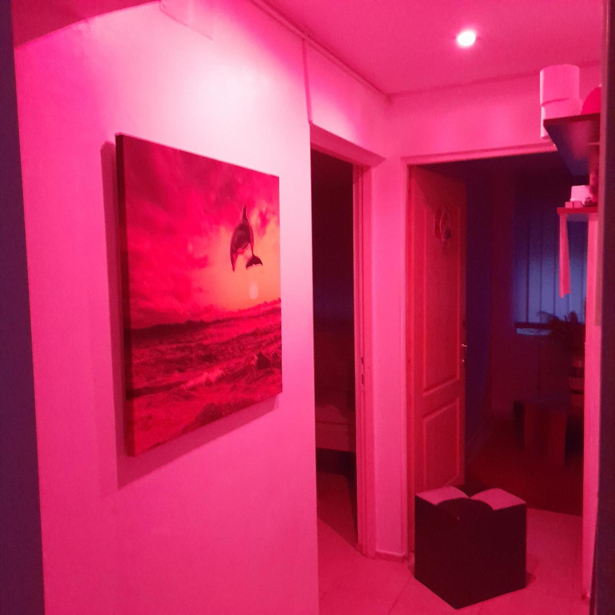 אלבה לוליה Apartment Boulevard Cetate מראה חיצוני תמונה