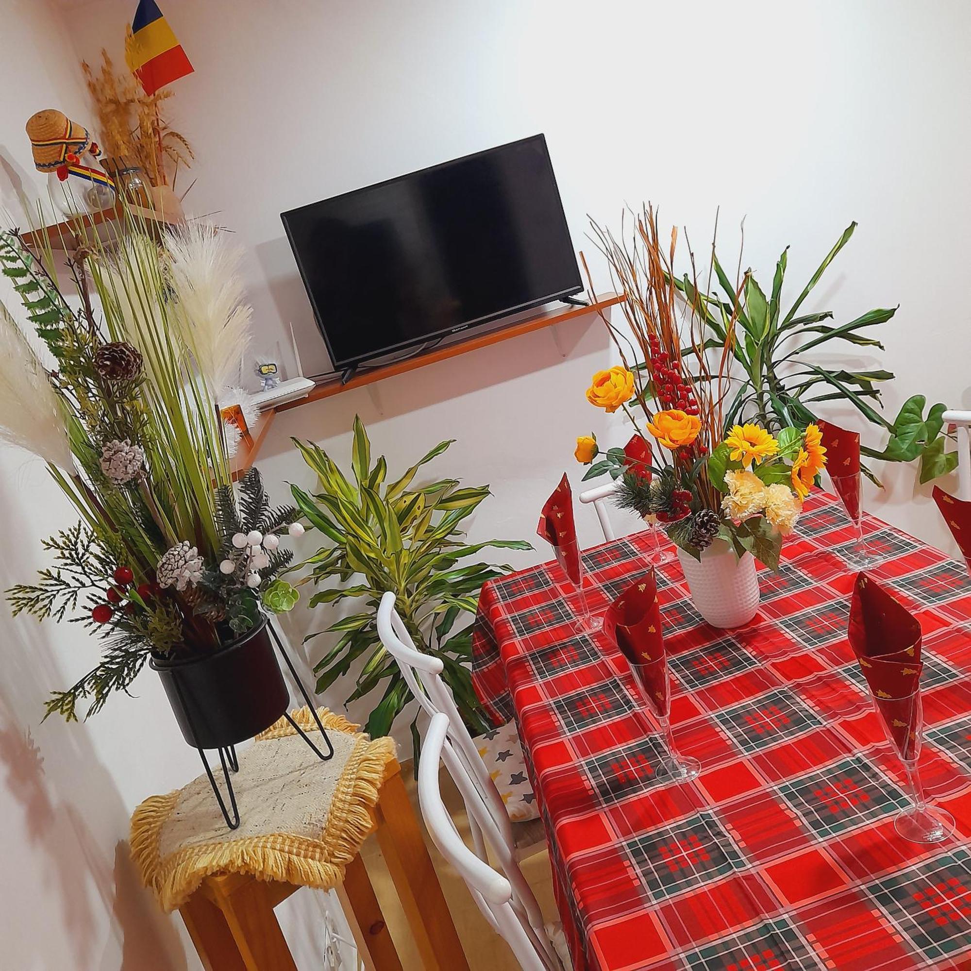 אלבה לוליה Apartment Boulevard Cetate חדר תמונה