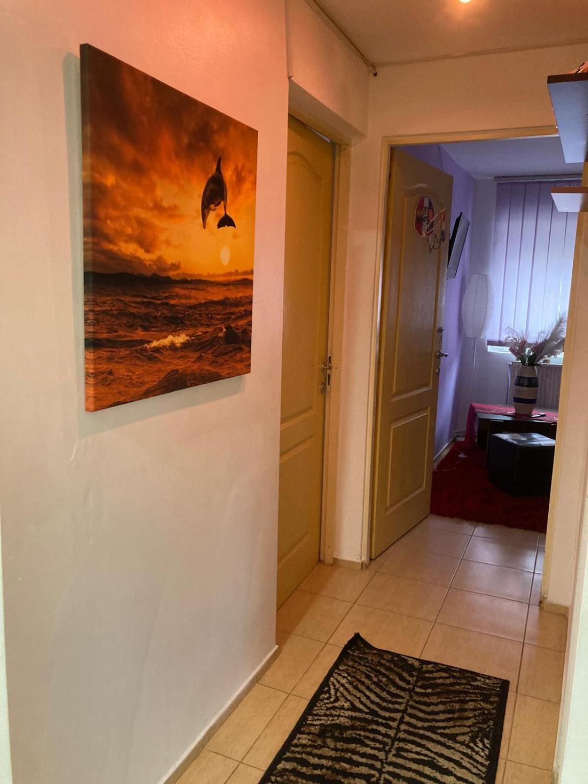 אלבה לוליה Apartment Boulevard Cetate מראה חיצוני תמונה